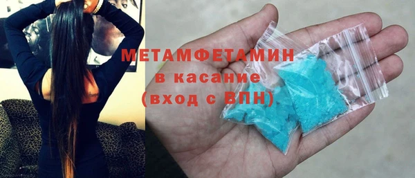 прущие грибы Богданович