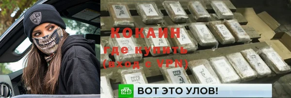 прущие грибы Богданович