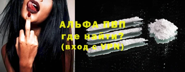 прущие грибы Богданович