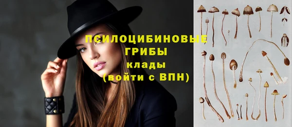 гашиш Богородицк
