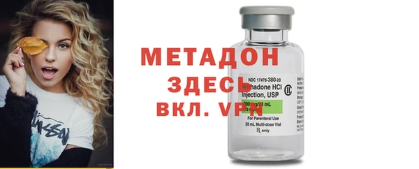 прущие грибы Богданович