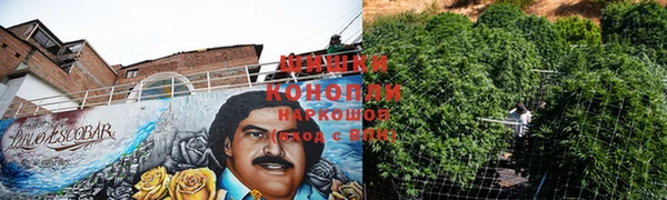 дурь Бугульма