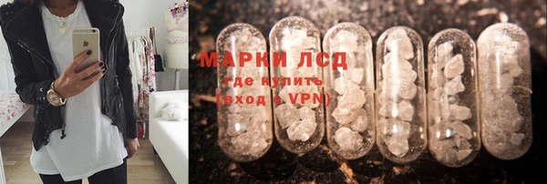 гашик Нефтекумск