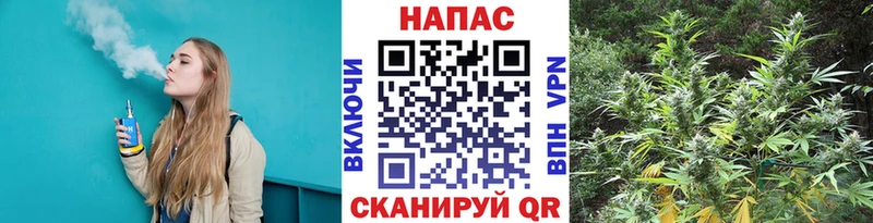 mega зеркало Кодинск Марихуана White Widow